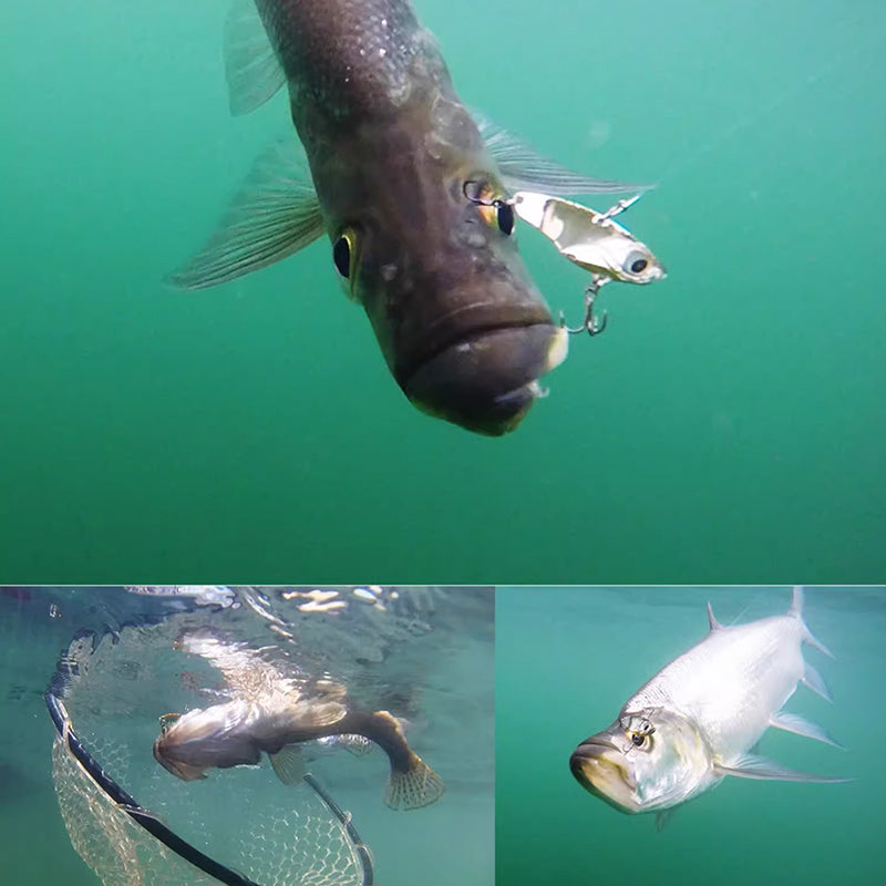 Fishing Lure