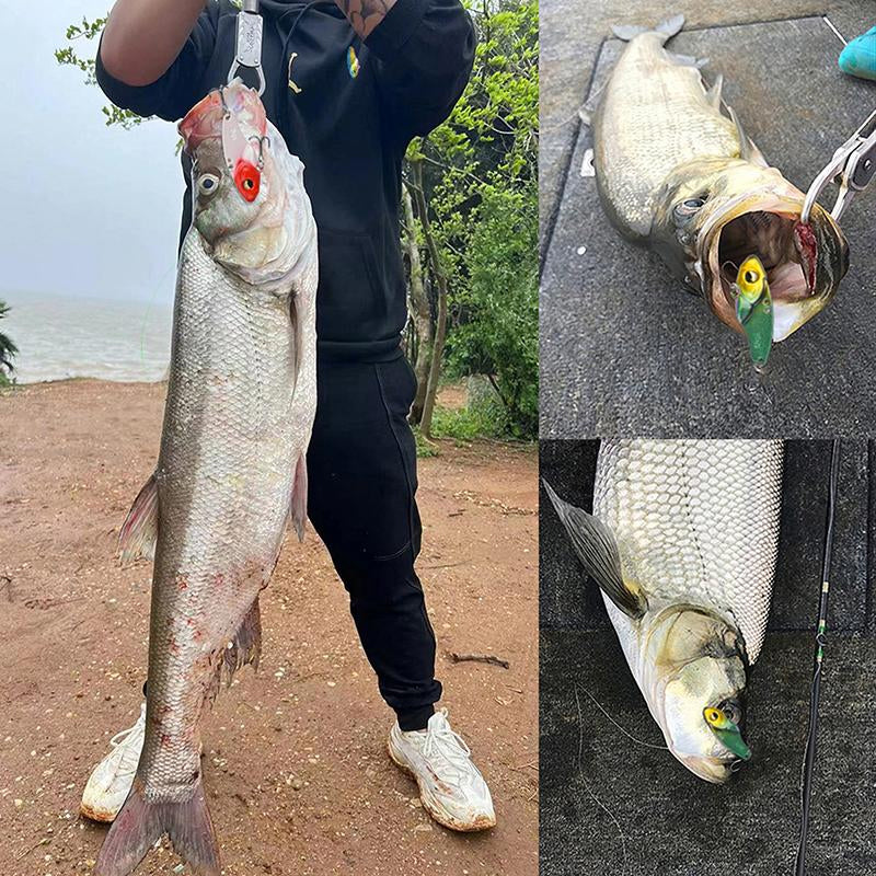 Fishing Lure